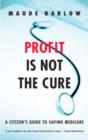 Profit Is Not the Cure - eBook