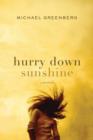 Hurry Down Sunshine : A Memoir - eBook