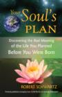 Your Soul's Plan - eBook