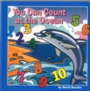 You Can Count at the Ocean - Book