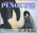 Emperor Penguins - Book