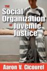 The Social Organization of Juvenile Justice - Book