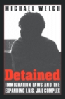Detained : Immigration Laws & Expanding Ins Jail Complex - Book
