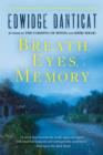 Breath, Eyes, Memory - eBook