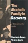 The Alcoholic Family in Recovery : A Developmental Model - Book