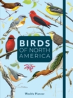 Birds of North America : Undated Weekly and Monthly Planner - Book