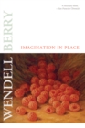 Imagination in Place - eBook