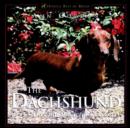 The Dachshund, The : Delightful, Devoted and Diverse - Book