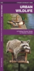 Urban Wildlife : A Folding Pocket Guide to Familiar Species - Book