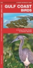 Gulf Coast Birds : A Folding Pocket Guide to Familiar Species - Book