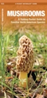 Mushrooms : A Folding Pocket Guide to Familiar North American Species - Book