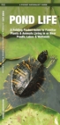 Pond Life : A Folding Pocket Guide to Familiar Plants & Animals Living in or Near Ponds, Lakes & Wetlands - Book