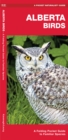 Alberta Birds : A Folding Pocket Guide to Familiar Species - Book