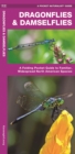 Dragonflies & Damselflies : A Folding Pocket Guide to Familiar Widespread, North American Species - Book