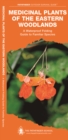 Medicinal Plants of the Eastern Woodlands : A Waterproof Folding Guide to Familiar Species - Book
