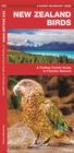 New Zealand Birds : A Folding Pocket Guide to Familiar Species - Book
