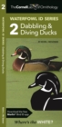 The Cornell Lab of Ornithology Waterfowl ID 2 Dabbling & Diving Ducks - Book