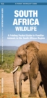 South Africa Wildlife - Book
