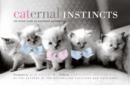 Caternal Instincts : The Feline Guide to Mastering Motherhood - Book