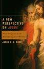 A New Perspective on Jesus (Acadia Studies in Bible and Theology) : What the Quest for the Historical Jesus Missed - eBook