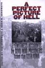 A Perfect Picture of Hell : Eyewitness Accounts by Civil War Prisoners from the 12th Iowa - eBook