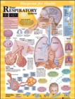 Blueprint for Health Your Respiratory System Chart - Book