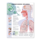 Understanding Influenza - Book