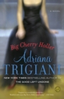 Big Cherry Holler - eBook