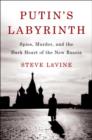 Putin's Labyrinth - eBook