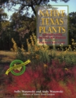 Native Texas Plants : Landscaping Region by Region - eBook