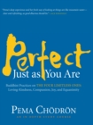 Perfect Just as You Are : Buddhist Practices on the Four Limitless Ones--Loving-Kindness, Compassion, Joy, and Equanimity - Book