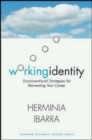 Working Identity : Unconventional Strategies for Reinventing Your Career - Book