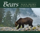 Bears : Black, Brown & Polar Bears - Book