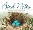 Bird Nests : Amazingly Ingenious and Intricate - Book