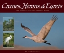 Cranes, Herons & Egrets : The Elegance of Our Tallest Birds - Book