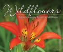 Wildflowers : Nature's Stunning Beauty on Display - Book