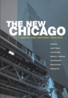 The New Chicago : A Social and Cultural Analysis - eBook