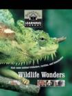 Wildlife Wonders - eBook
