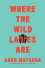 Where the Wild Ladies Are - eBook