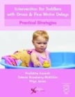 Intervention for Toddlers with Gross and Fine Motor Delays : Practical Strategies - Book