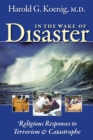 In the Wake of Disaster : Religious Responses to Terrorism and Catastrophe - eBook