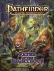 Pathfinder Player Companion: Paths of the Righteous - Book