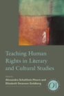 Teaching Human Rights in Literary and Cultural Studies - Book