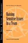 Raising Sensitive Issues in a Team - Book