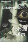 Six-Pound Walleye - eAudiobook