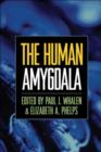 The Human Amygdala - Book