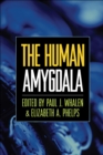The Human Amygdala - eBook
