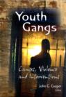 Youth Gangs : Causes, Violence & Interventions - Book