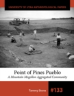 Point of Pines Pueblo : A Mountain Mogollon Aggregated Community - Book