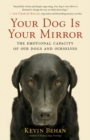 Your Dog Is Your Mirror : The Emotional Capacity of Our Dogs and Ourselves - eBook